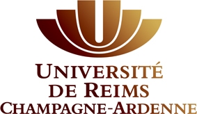 DUT MMI, ma formation parfaite